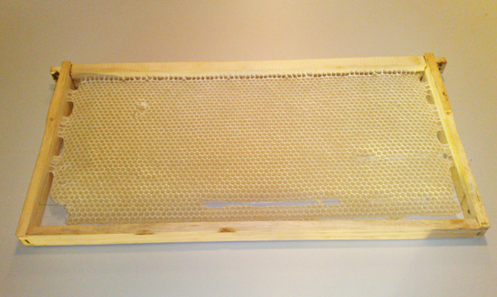 frame1.jpg